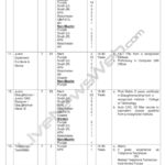 CBS WBBM News Channel 2 Chicago IL