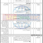 ABC WZVN News Channel 7 Fort Myers